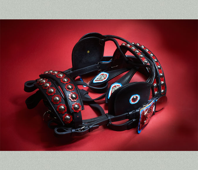 Leder- und Sattlerprodukte | Foto: Tomo Jeseničnik